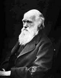 Чарльз Роберт Дарвин биография, фото, истории - создатель теории эволюции живых организмов, английский натуралист, естествоиспытатель и путешественник