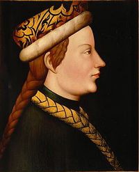 Альбрехт III биография, фото, истории - герцог Австрийский с 18 ноября 1364 по 25 сентября 1379 года