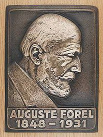 Огюст Анрі Форель біографія, фото, розповіді - відомий швейцарський невропатолог, психіатр, ентомолог і громадський діяч