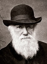 Чарлз Роберт Дарвин биография, фото, истории - педагогика, в которой обучение рассматривается как процесс познавательной деятельности, соответствующий естественным законам развития человека, занимается изучением видоспецифических особенностей его развития в процессе обучения как представителя вида Homo sapiens