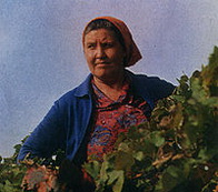 Гришина Марія Федорівна біографія, фото, розповіді - радянська робітниця сільського господарства, Герой Соціалістичної Праці