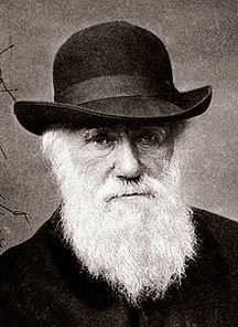 Чарльз Дарвін біографія, фото, розповіді - англійський натураліст і мандрівник, одним з перших усвідомив та наочно продемонстрував, що всі види живих організмів еволюціонують у часі від спільних предків