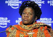 Луїза Діаш Діогу біографія, фото, розповіді - колишній прем'єр-міністр Мозамбіку з 17 лютого 2004 по 16 січня 2010 року, перша жінка, що зайняла цю посаду