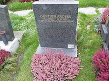Гюнтер Андерс біографія, фото, розповіді - письменник, філософ, активний учасник всесвітнього антиядерного і антивоєнного руху